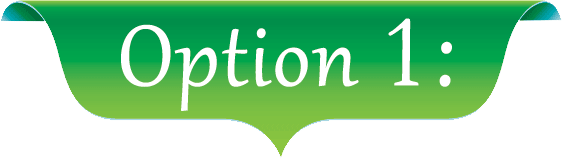 option-1