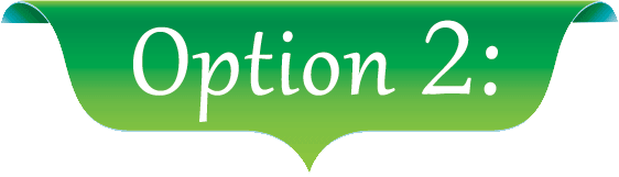 option-2